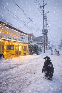 روضة البيان • تسجيل روضة • بغداد البنوك