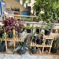 سرچنار • تركيب أثاث • تصليح أثاث