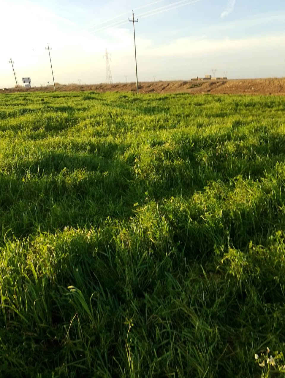 للبيع قطعه الارض زراعيه
عقد ١١٧ زراعي المساحه٤ونص على طريق كوت العماره قريه بيت ارخيص منطقه الحنضليه موقع الأرض على شارع العام سعر الدونم ١٧ مليون
رقم الهاتف ***********
