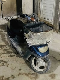 دراجة منغولي • كربلاء • نقوصات بسيطة