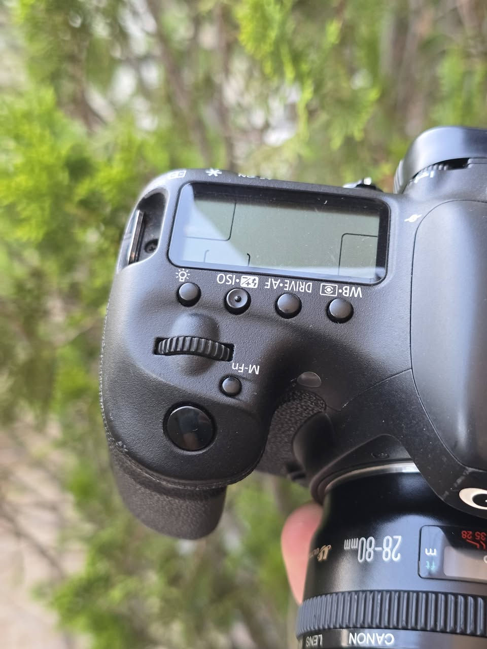 Canon 7DII
28-80 
للبيع 
كانون 7DII مع عدسة ٢٨-٨٠ و بطارية و شاحن أصلي و حزام 
نظافة ٩٥% 
شتر ٤٨
سعر ٥٨٠ ألف، توصيل متوفر.


**إذا كنت صاحب هذا الإعلان وتريد حذفه لأي سبب، رجاءا أرسل رسالة إلى الدعم الفني**