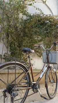 رينو عبدالحليم • حجم ٢٧ • نظيف ٩٠٪