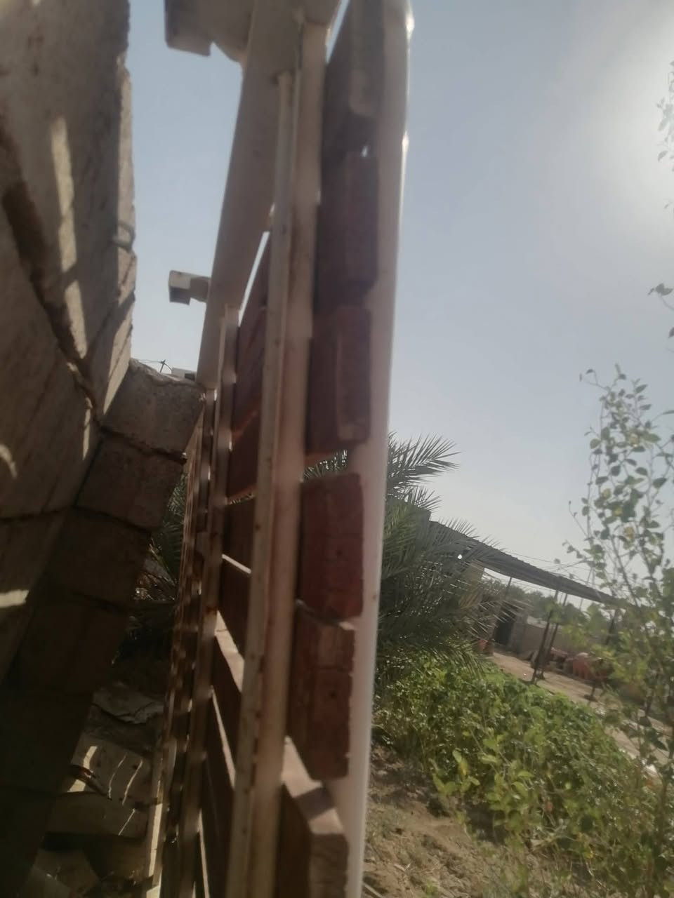 سوبايه مال كوستر روزه السعر ٢٥٠ العنوان الديوانيه السنيه ***********
