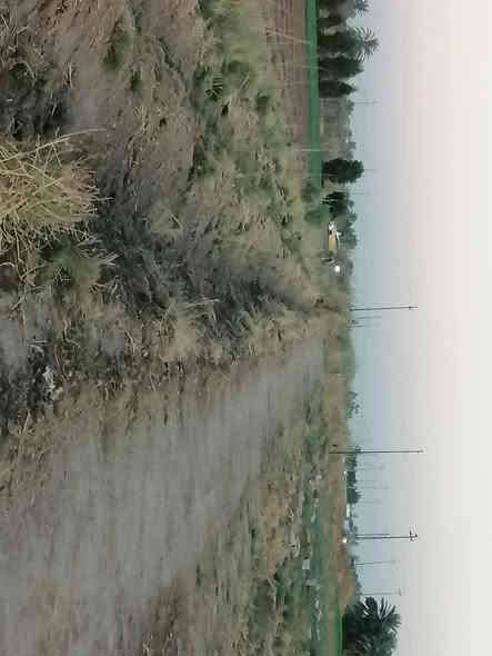 أرض زراعيه للبيع المساحه دونم سند ٢٥ تحويل مباشر
للأستفسار الاتصال فقط

***********

***********
