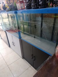 حوضين ٨٠ • جديد