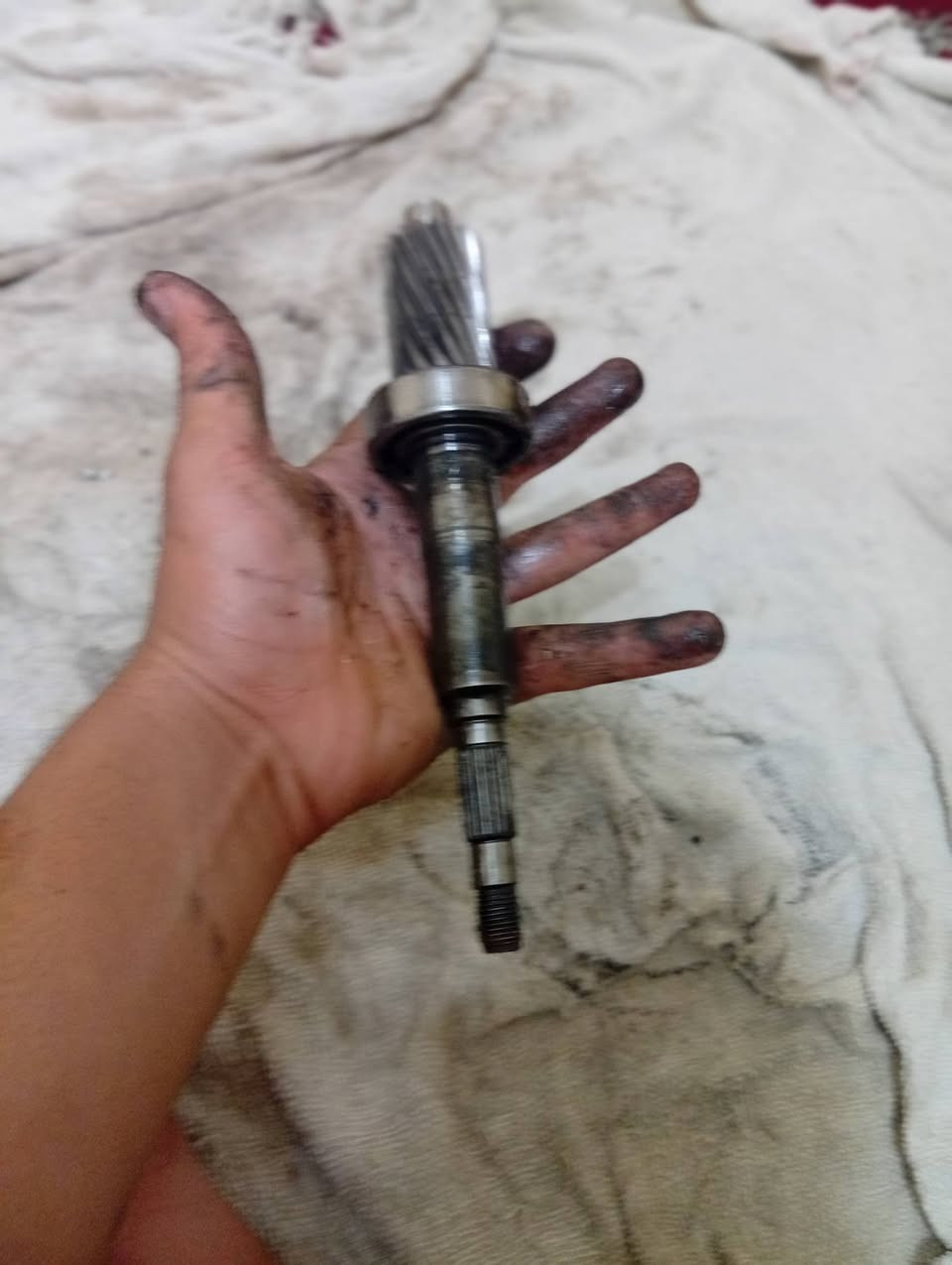 سلام عليكم شباب قراض دراجات تفصيخ بلادي جميع الفورزات السعر خاص عنوان البصره ***********
