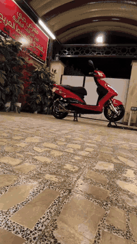 سكنس ياباني • فول تزويد • كفالة دبي