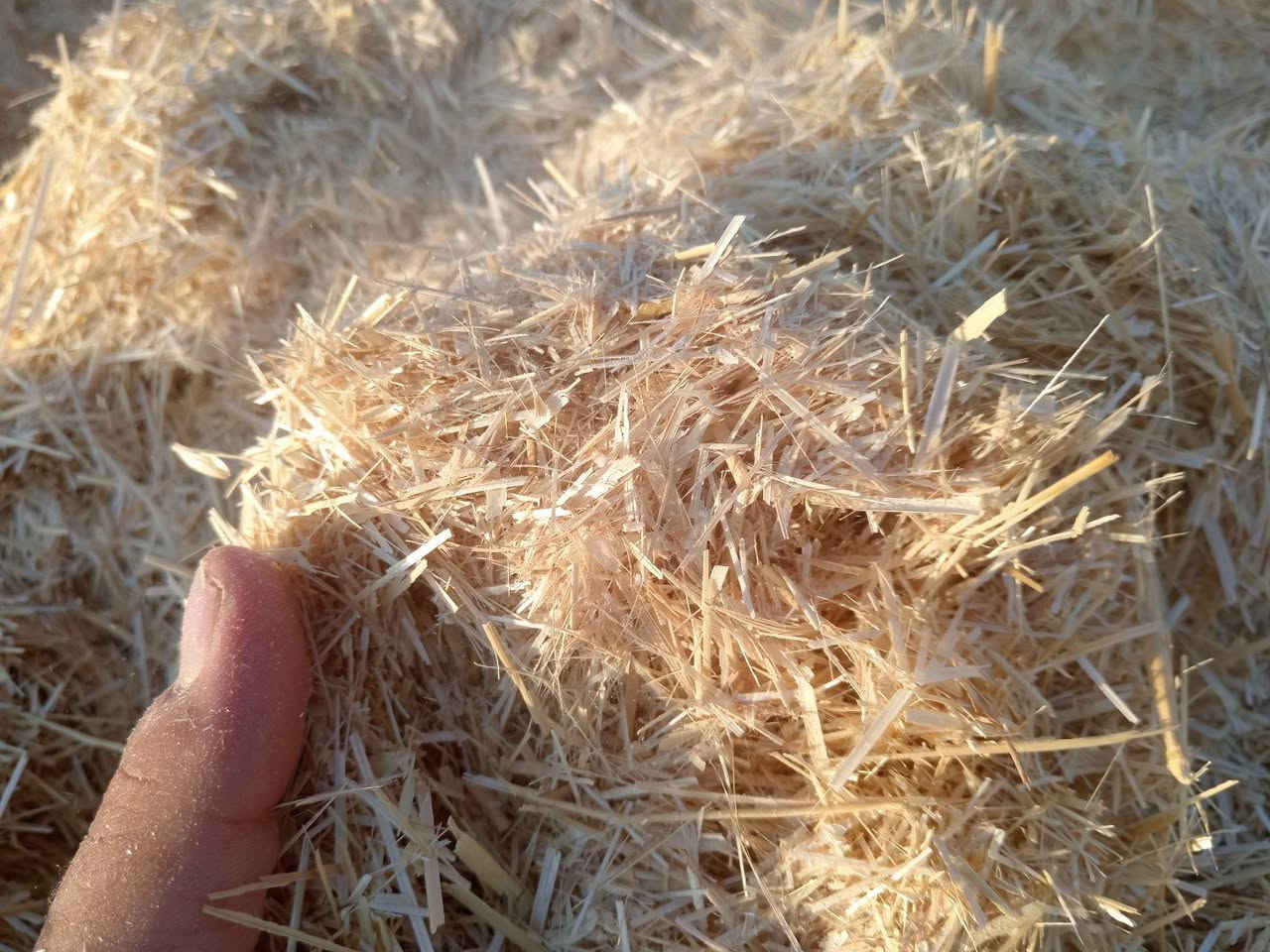 🌾 يوجد تبن للبيع 🌾

تبن الشمال (أربيل وكركوك)
✅ أبيض
✅ ناعم
✅ نظيف
✅ خالٍ من التراب

🚛 سعر الزوج إلى البصره : ٩ ونص

📞 للاستفسار والطلب: ***********

