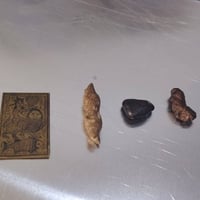معروضات للبيع • أنواعهن • استفسار