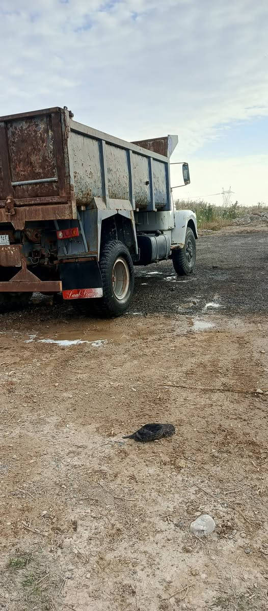 سكانيه 111 اللبيع موديل 82 رقم انبار الماني بسمي الستفسار ‏‪***********‬‏
