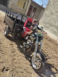 ستوته • موديل ٢٢ • أوراق أصلية