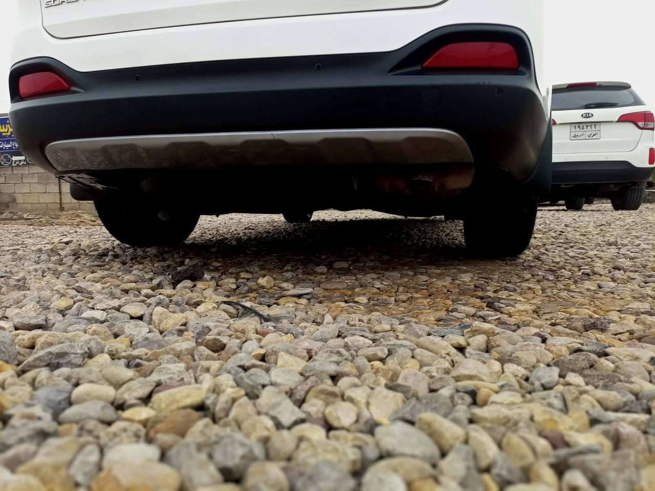 السلام عليكم لبيع سورنتو موديل 16 رقم واسط بسمي شخصياً تحويل مباشر خليجي كفاله عامه من الضربة والصبغ والتبديل مكينه 6سلندر بصمه +بصمه
أبواب+ بصمات ٢ تشغيل فول مواصفات عده الفتحه ٧راكب ويل كروم كشنات تدفئه تبريد + كهرباء جنطه كهرباء حساس خلفي امامي بردات خلفيه ابلاد شاشه وسط كامره خلفيه دواره زراك لايت تخم تاير  السياره علئ الشركه جديده ما متعوبه استخدام قليل علئ أيدي واحلئ من الصور شرط  مكان السياره واسط الكوت قضاء بدره رقم الهاتف *********** مكلف بالنشر السعر اتصل او خاص بسبب الناس التعبانه
