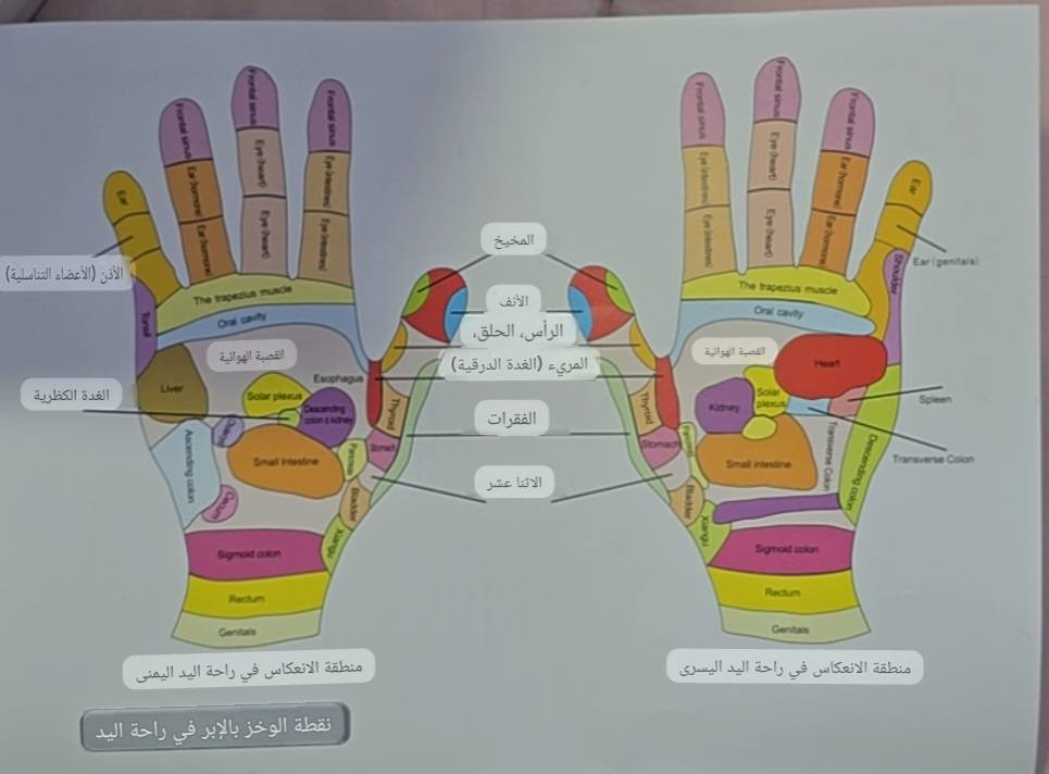 مدلكه ومعالج يدوي ذكي 
بضاعه اوربيه  سعر  20 
عنواني فاو جنوبيه 
***********
