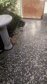 الحميدية • ٧٥م • قرب مشروع