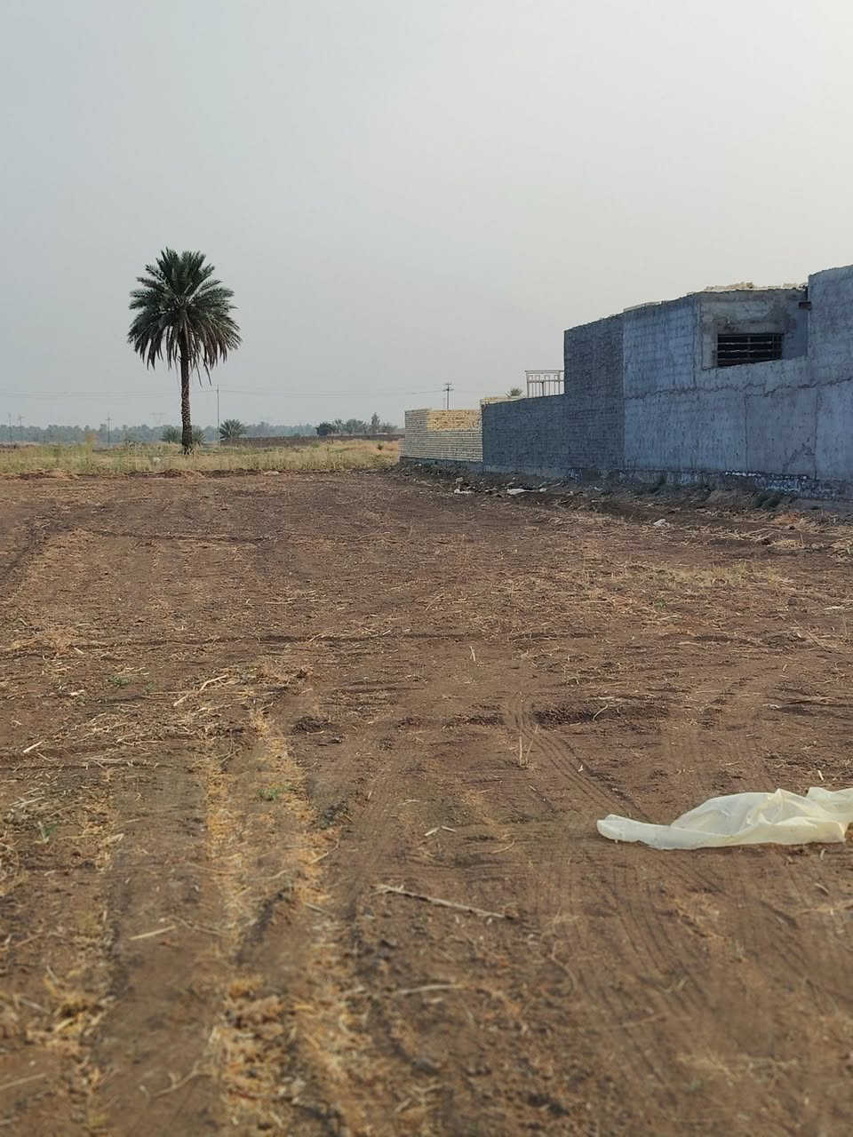 السلام عليكم يوجد الفين 2000متر  طابو زراعي الوجهه 20متر النزال 100متر 
قريه البوعبدالله قرب الامام عون  (عليهم السلام) توجد بيها كافه الخدامات كهرباء ماء اساله تبعد عن الشارع الرئيسي 300متر  بسمي تحويل مباشر  ***********   /
