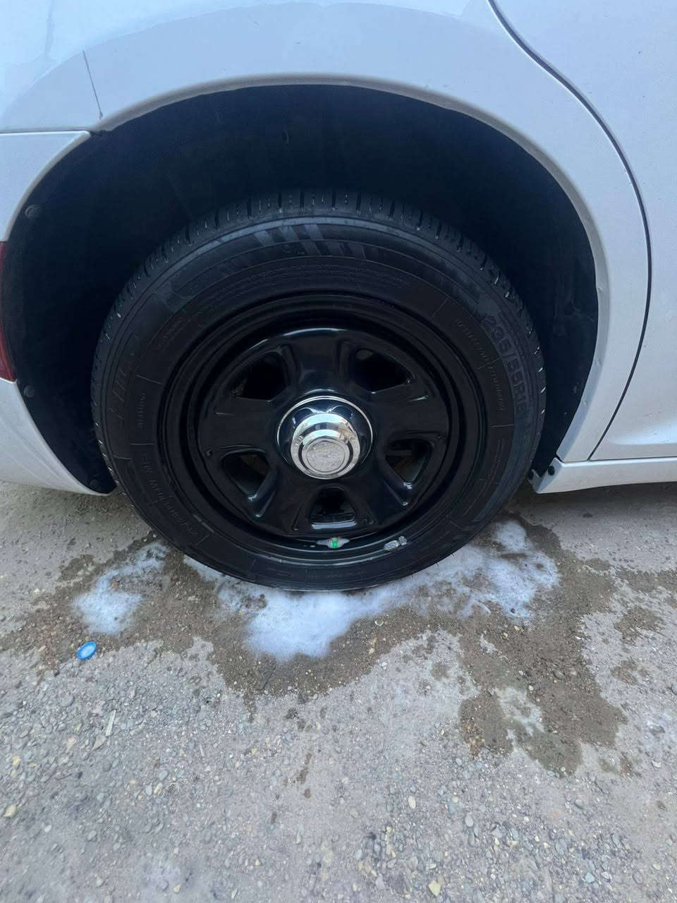 ويل بوليسي حجم ١٨ تجاري كارتون توني شادة جديد بيع او مراس ....استفسار/***********
