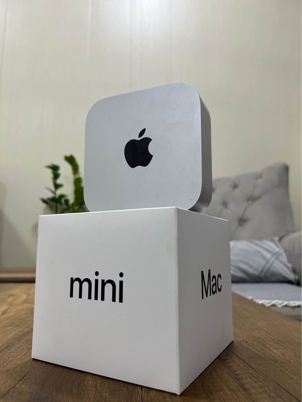 Mac mini 4 
512
Ram 16 
ماخذة من ماستر ستور شرق اوسط بعدة بفترة الضمان
جديد كلش اداء رهيب
السعر مليون مكاني كركوك كركوك, العراق


**إذا كنت صاحب هذا الإعلان وتريد حذفه لأي سبب، رجاءا أرسل رسالة إلى الدعم الفني**