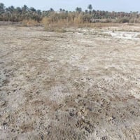 قريه الزهراء • ٢٠٠م • سوق فظليه