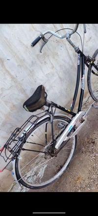 باسكل • نجف • سعر مناسب