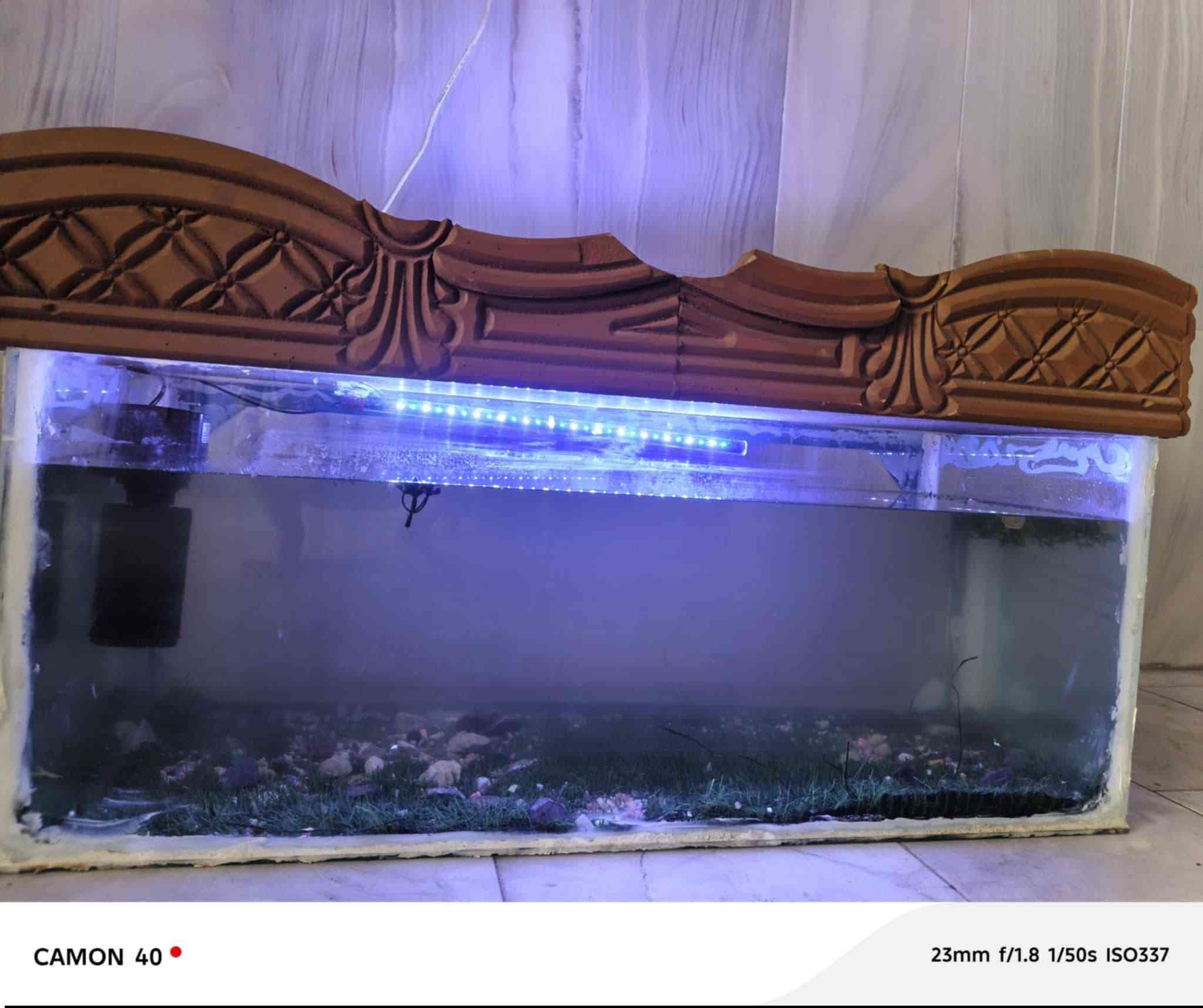 حوض سمك حجم كبير عمل يدوي كامل ملحقاته مامستخدم ابد
السعر 70


**إذا كنت صاحب هذا الإعلان وتريد حذفه لأي سبب، رجاءا أرسل رسالة إلى الدعم الفني**