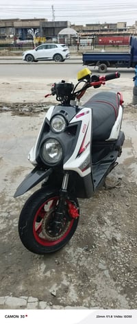 سكنس جبلي • معدل • بگلايت R6