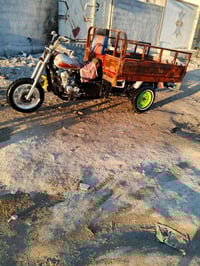 ستوته • نجف • رقمي