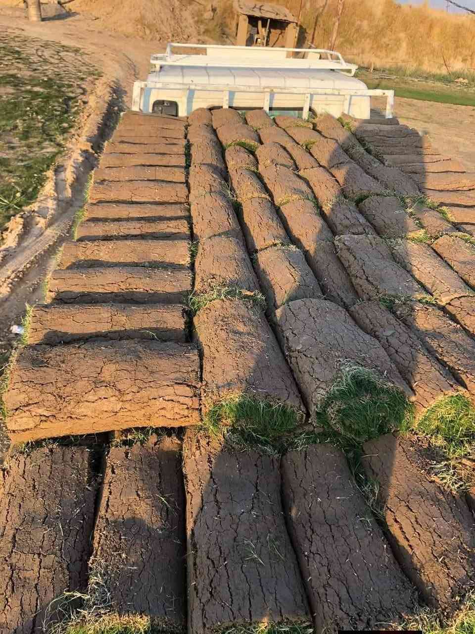 ثيل هندي درجه اوله رقم الهاتف ***********
