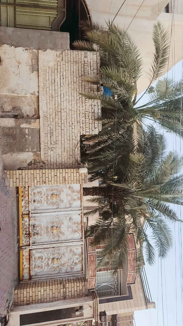 السلام عليكم بيت مساحة ٢٤٠م الوجه 8م والنزال 30م بناء طابقين غرفتين وصاله واستقباله كبيره ومطبخ وصحيات الطابق الأول والثاني نفس التصميم السعر خاص رجاء القطاع شارع المدارس الفرع المقابيل سيد مصطفى أو زاد الخير للاستفسار ***********
