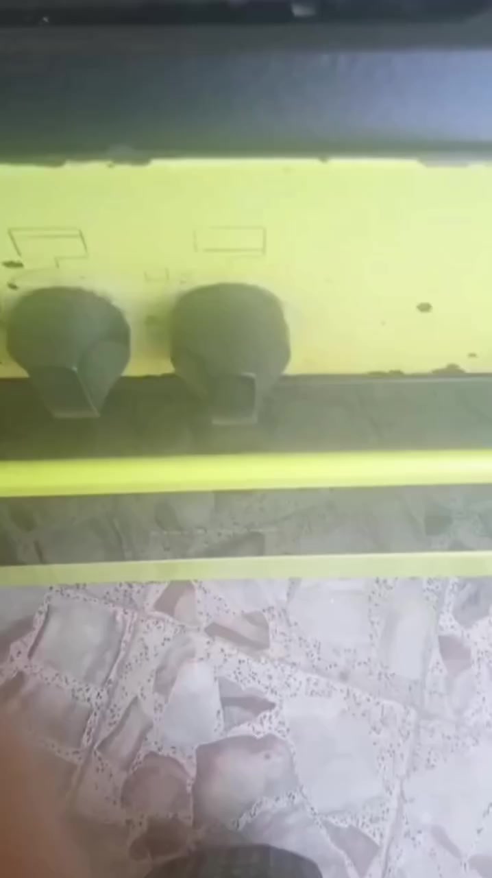 طباخ مصري مستخدم باب اول عوزه تنضيف فقط ب٧٥ وبي مجال


**إذا كنت صاحب هذا الإعلان وتريد حذفه لأي سبب، رجاءا أرسل رسالة إلى الدعم الفني**