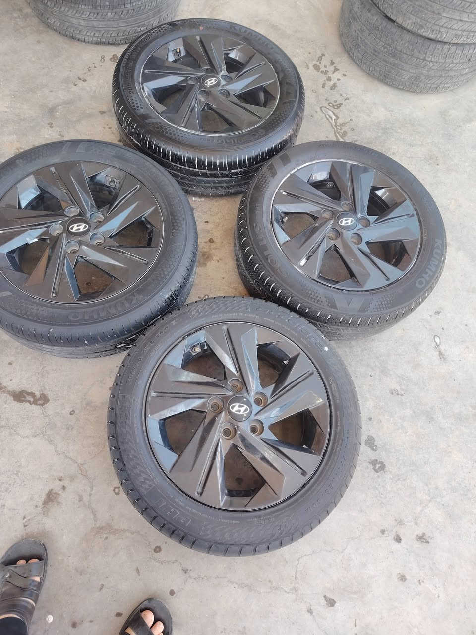 تخم ويل كب الإنترة ٢٣ اصلي شركة بيع أو مراوس العنوان بغداد الشعلة ***********
***********
