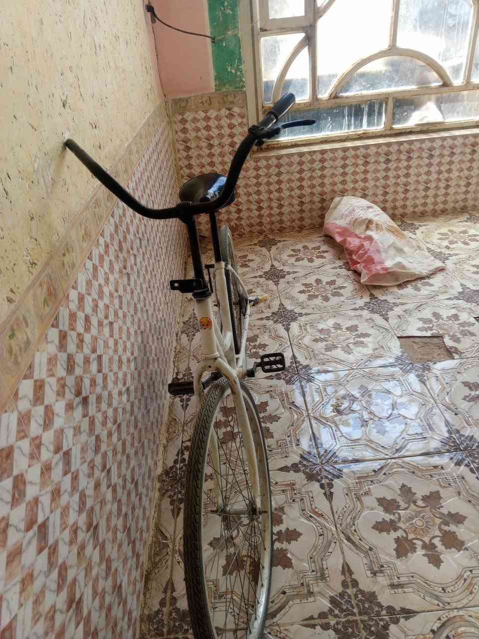 باسكل. لبيع سعر 40 حجم 26مكان حاوي العباس


**إذا كنت صاحب هذا الإعلان وتريد حذفه لأي سبب، رجاءا أرسل رسالة إلى الدعم الفني**