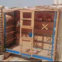 قفص • الماجديه سيد جميل