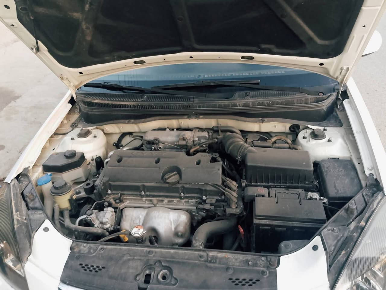 كيا ريو موديل 2012
رقم اربيل دولي شرط التحويل بأسمي
كابون بانزين بيها 
سنويه جديدة هزه وفحص جديد
داخل برايد
محرك 16شرط
وكير شرط 
صبغ بين بابين السكن مأشر بالصورة ومكانات بارد بيها كد كرت
لمعرفة السعر الإتصال على الرقم 
الخاص مغلق 🔒 
التواصل مع الرقم
***********
