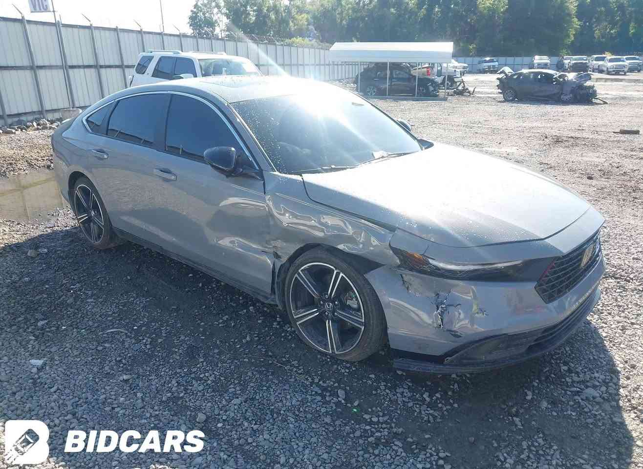 للبيع هوندا اكورد اسمنتي 2024
فئه sport فول مواصفات:- مكينه 2000 هايبرد بصمه/بصمه ابواب/فتحه سقف / رادارات اماميه وخلفيه وجانبيه /كراسي كهرباء /تشغيل عن بعد /شاشه كبيره/كامره دواره/فول تحكم ستيرن/تحديد مسار/اوتو هولد/سايد بريك بصمه/كار بلي

وبعد هوايه مواصفات

( ماشية 14 الف   )  

وارد امريكي ضررها موضح بالصور جاملغ صبغ وباب دواخل سليمه ايرباك ستيرن ودشبول مصلحه وجاهزه
وعلفحص وين ميحب المشتري

صور الحادث ورقم الشاصي موجوده بلمنشور

السعر 216  ورقه ورقه وبي مجال 
جاهز مرقم 

مكاني السياره المنصور 

***********
