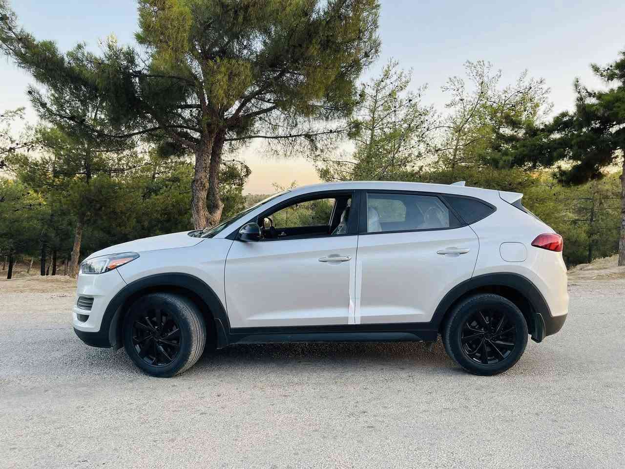 ‎هۆندا توکسۆن ٢٠١٩ ئەمریکی تازەمەکینەی کراوەتەوە
‎سەیارەکە زۆر جوان و خاوێنە ٨١ هەزاد مایل ڕۆشتووە سەنەوی تا ٢٠٢٧ مانگی ١٠یە تەنها بۆنید و نیو قەپاغ سندوق 
‎سبوغە بێ ژورێ و بێ ئێرباگ
‎نرخیشی١٥٢ مەجال 
‎ژ.م:***********
