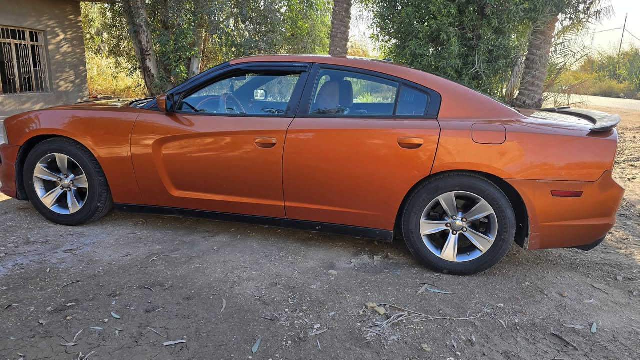 وين عشاق المشمشي  جارجر ٢٠١١ مشمشي فول مواصفات للاخير رقم بغداد بسمي جملغ خلفي صبغ وملون ويا الباب السياره تعبان عليه حيل  صار عندي ضرف واريد ابيعه وبلعافيه علياخذه السعر١٤٦ وبيه جال بصيط
عنواني كربلاء طويريج
لتواصل *********** بي واساب
