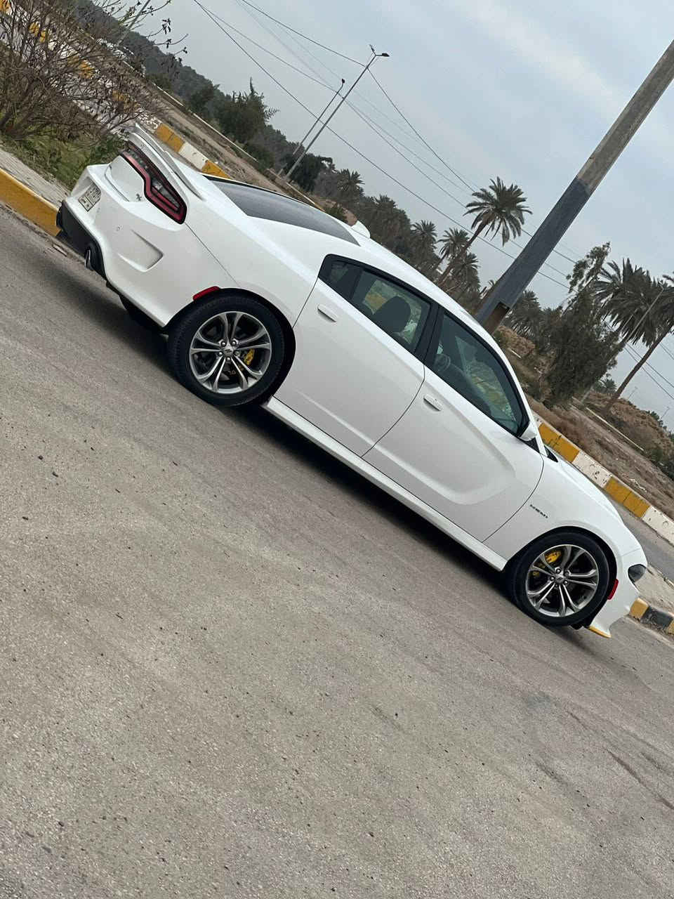 جارجر R/T 21
الحادث بنيد مبدل فقط وموجود البنيد الاصلي مالته تكدر تصلحه وترجعه بي ضرر بسيط موجود بالصور 
وبيه تصليح بسيط بخشم الجاملغ 
سيارة ستوك ع وضع الشركة اني مستورده 
ماشيه 47 صور الحادث مرفقه مع الصور 
مكان السيارة بالحلة 
للاستفسار ***********
