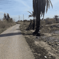 وبركاته متابعينا الكرام تحية طيبة🌺  ارض زراعيه للبيع طابو  زراعي  6 دو...