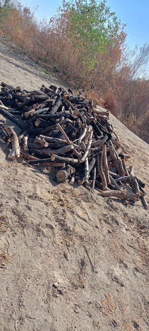 خشب للبيع مال مطاعم مسكوف سمج سعر الكيه با350 مكطع خشب رقم واحد


**إذا كنت صاحب هذا الإعلان وتريد حذفه لأي سبب، رجاءا أرسل رسالة إلى الدعم الفني**