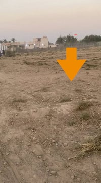 يوسفية بغداد • طابو زراعي سند ٢٥ • واجهة ٢٥م