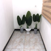 الشعب بغداد • ديكور بيت