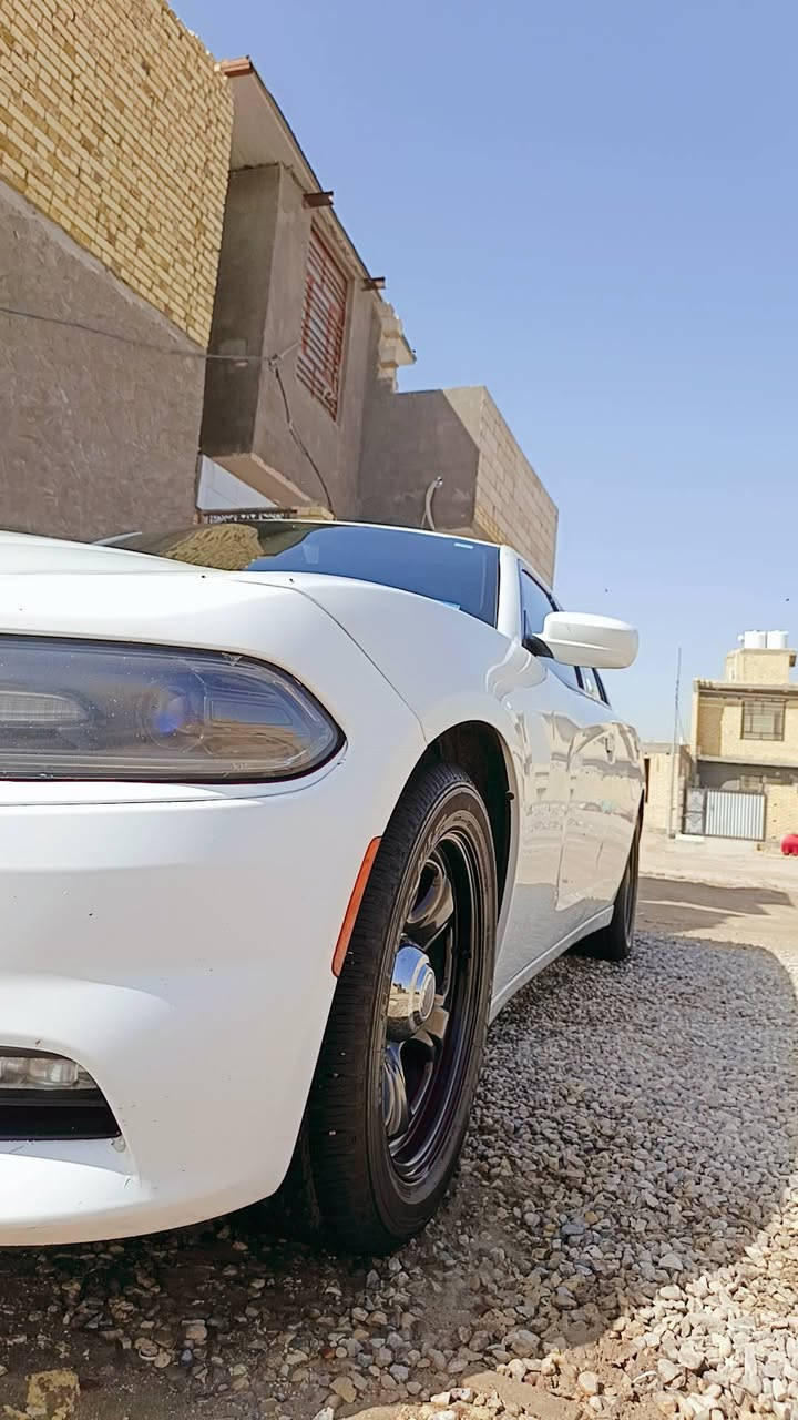 السلام عليكم
جارجرمرمز٢٣/١٨بأسمي رقم بصرة أنكليزي
سياره مكينه كير اكسن حدادية تبريد كله جديد 
تخم تاير ويل توني شأدهن حادثه باب وجامغ
صبغ بس بدون تبديل ولا ايرباك ولا برانكيت 
سياره جديده خير من الله مكان ناصرية 
رقم الهاتف ***********السعرعلى الخاص 
رجاًرجاً الماعاجبه المنشور خل ايعبره
