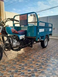 ستوته • جاهزة سنوية • واسط الكوت