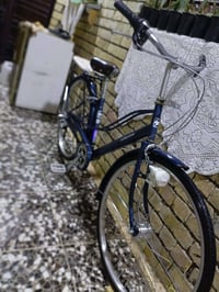 باسكل • كامل • الزعفرانيه