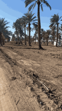 سلام عليكم نص دونم طابو صرف للبيع العنوان المدائن شارع سيد علي وجه النص 30 متر الاستفسار ***********
