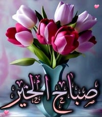 قطعه زراعي بصخيين طريق الجامعه قرب السيطرة بلقصاد بلقصاد 400متر السعر ...