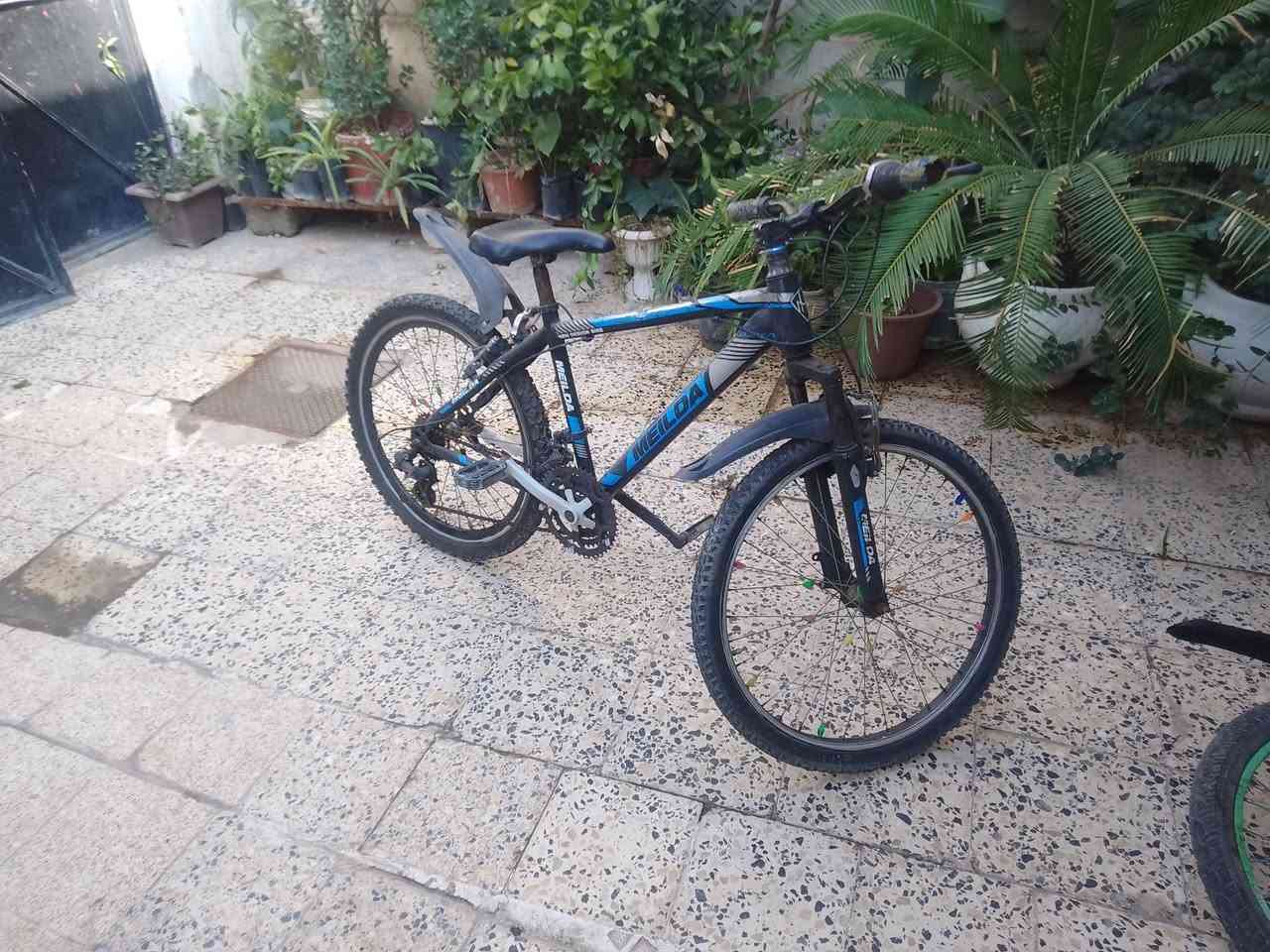 بايسكل للبيع حجم 24 كامل شرط نضيف ما بي إي عطل او صبغ السعر 50الف المكان حي صدام  المدخل الاول التواصل خاص


**إذا كنت صاحب هذا الإعلان وتريد حذفه لأي سبب، رجاءا أرسل رسالة إلى الدعم الفني**