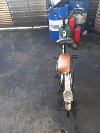 باسكل • للبيع • شعب نهايت الفورمات