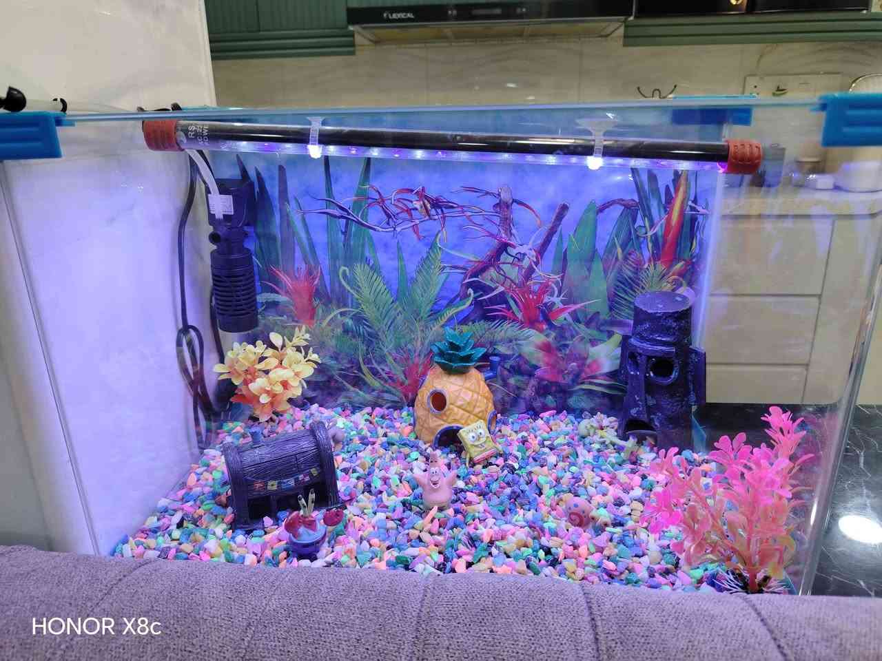 حوض سمك للبيع
مكان نجف حي السلام النجف, العراق


**إذا كنت صاحب هذا الإعلان وتريد حذفه لأي سبب، رجاءا أرسل رسالة إلى الدعم الفني**