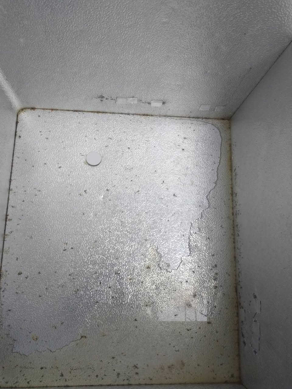 موجەمیدەی مارەکەی دیۆرای عەسلی زۆر پاکو جوانە قیاسی بەرزیو+ پانی 80 سانتینە سوربی ناوەکەی چەن کونێکی بچوکی تیایە چاکراوە زۆر بێ عەیبە لە وێنەکان دیارە 
بەشەرتی ئیشکردنو ئۆتۆماتیکو سەهوڵ کردن نرخی 70 هەزارو مەعامەلە
 شوێن سەیدسادق
***********
